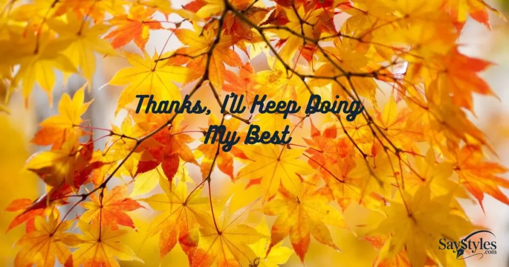 Thanks, I’ll Keep Doing My Best