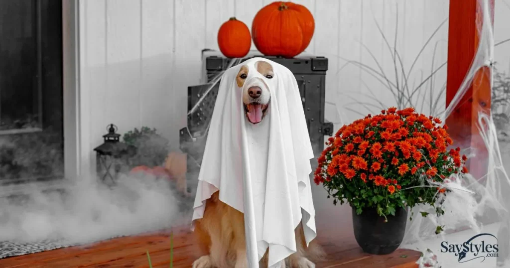 Comebacks for Happy Halloween