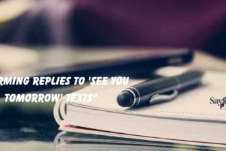 Replies to 'See You Tomorrow' Texts"